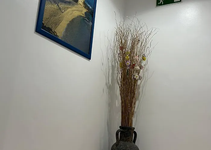 게스트하우스 호스탈 후안 카를로스 카로보네라스